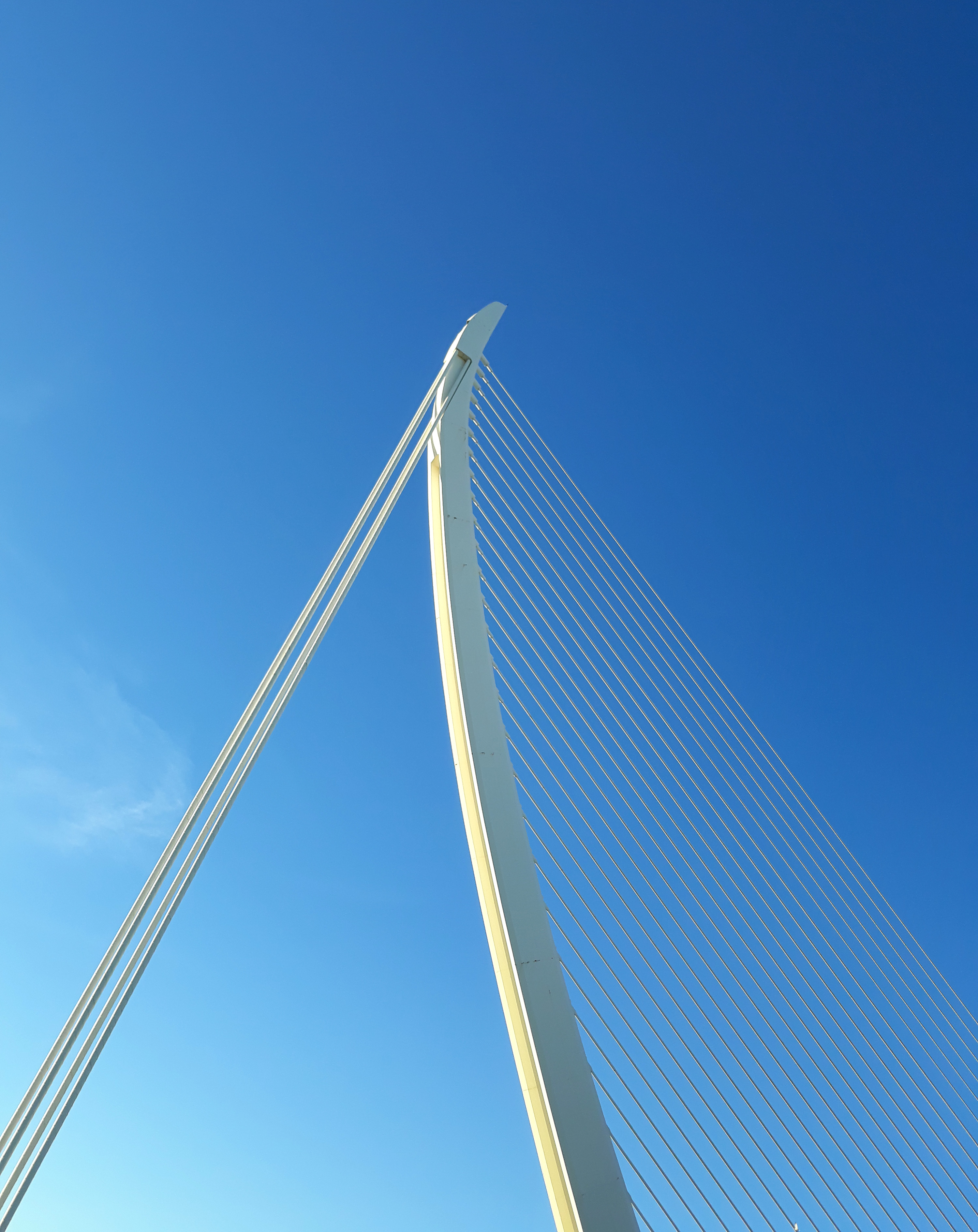 Puente Assut de l'Or — 5