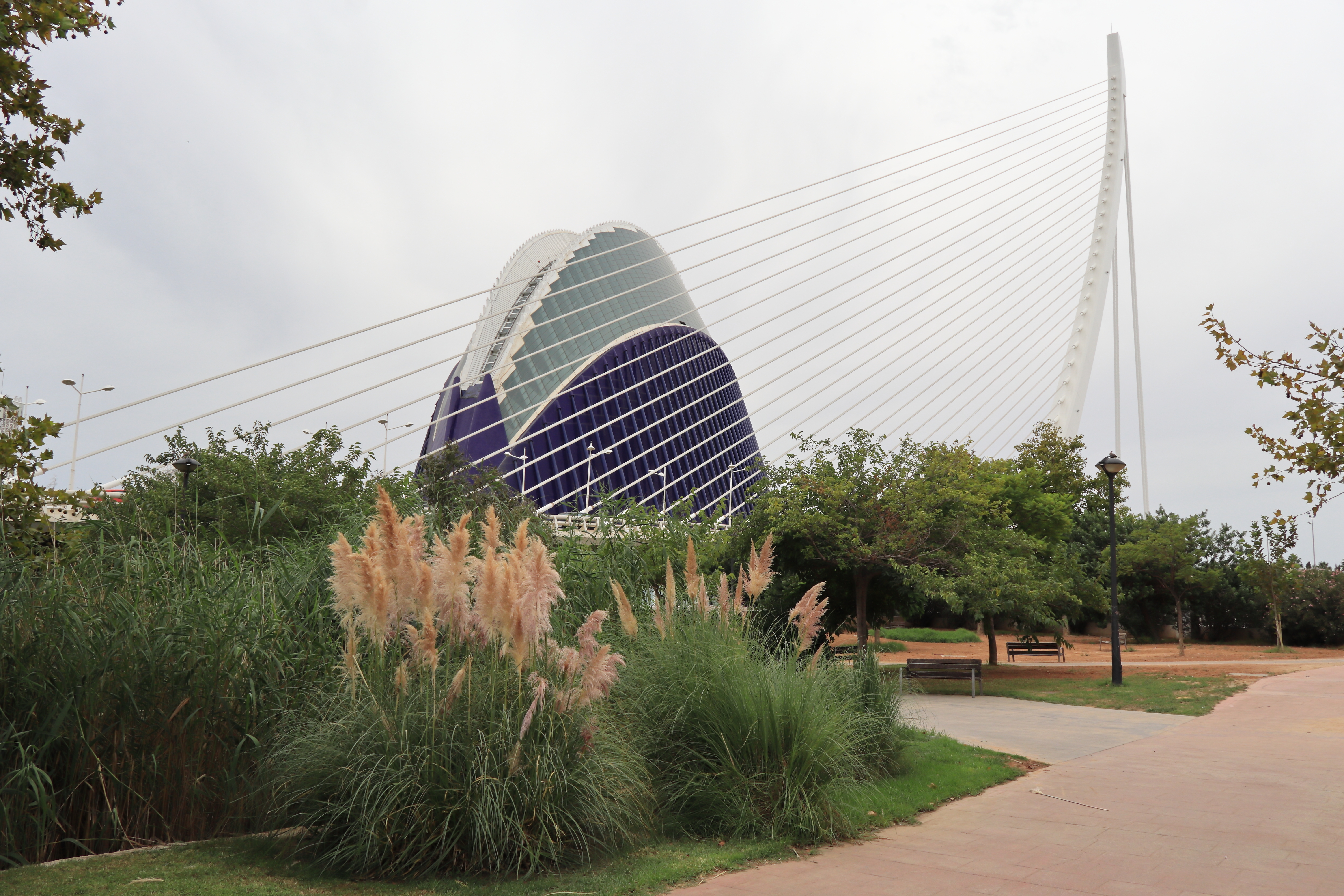Puente Assut de l'Or — 2